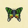あつ森のニシキオオツバメガのアイコン