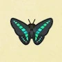 あつ森のアオスジアゲハのアイコン